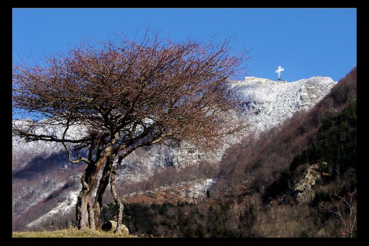 Novi Velia Sa di pinam