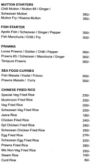 Hyderabad Spice menu 6