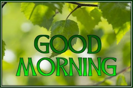 Good Morning Cards(圖3)-速報App