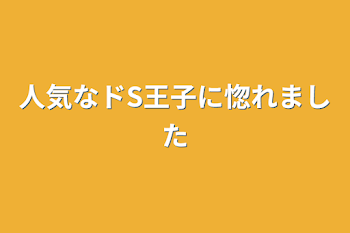 人気なドS王子に惚れました