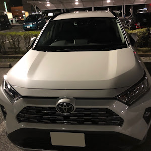 RAV4 MXAA54