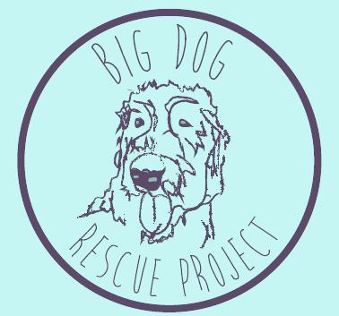 Pets for Adoption at Big Dog Rescue Project, in University Place, WA |  Petfinder