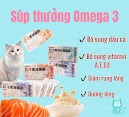 Súp Thưởng Omega 3 Cho Mèo
