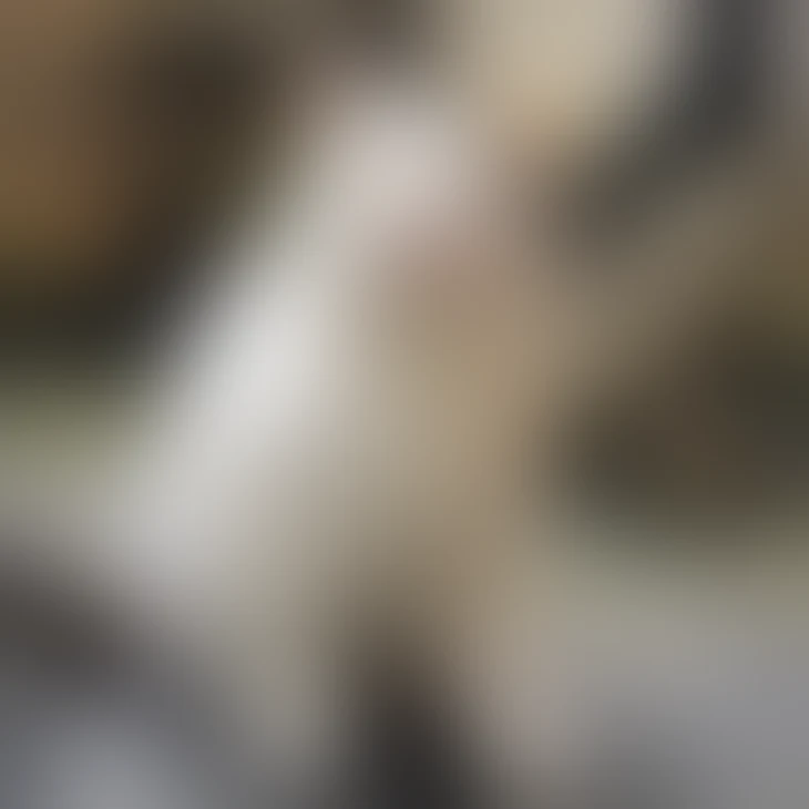 「𓃲	𓃳	𓃴	𓃵	𓃶	𓃷	𓃸	𓃹	𓃺」のメインビジュアル