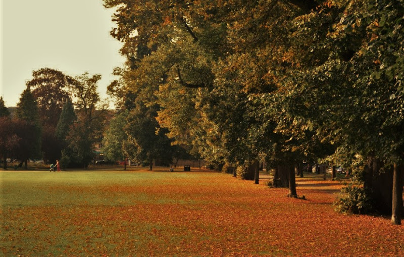 "Si sta come d'autunno.." di Nemesis