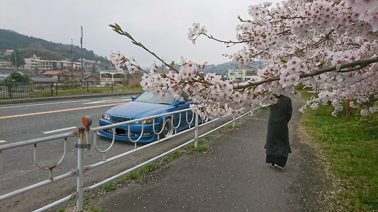 チェイサーのドライブ・桜とコラボ・島根県雲南市・はなよりだんごに関するカスタム事例の投稿画像2枚目