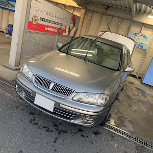 ブルーバードシルフィ