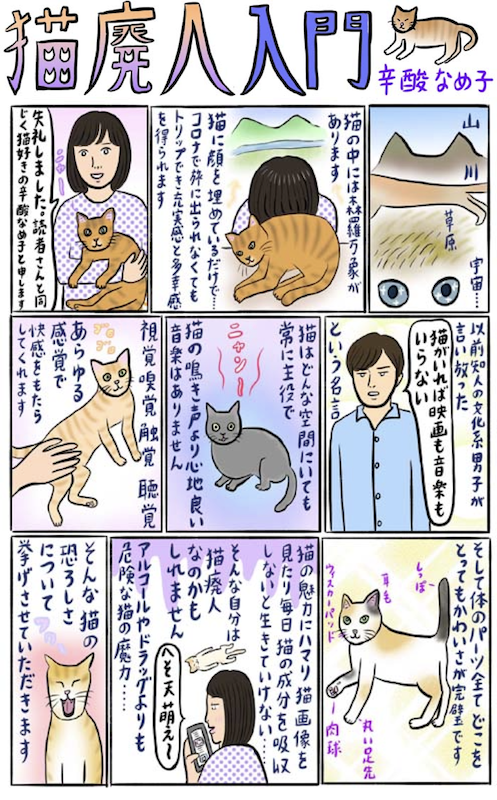 辛酸なめ子さんが図解 猫廃人入門 あなたも当てはまる Trill トリル