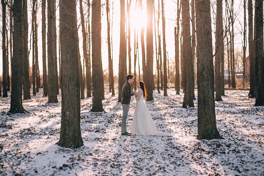 Hochzeitsfotograf Mariya Stupina (mariastupina). Foto vom 26. Januar 2015