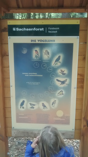 Die Vogeluhr