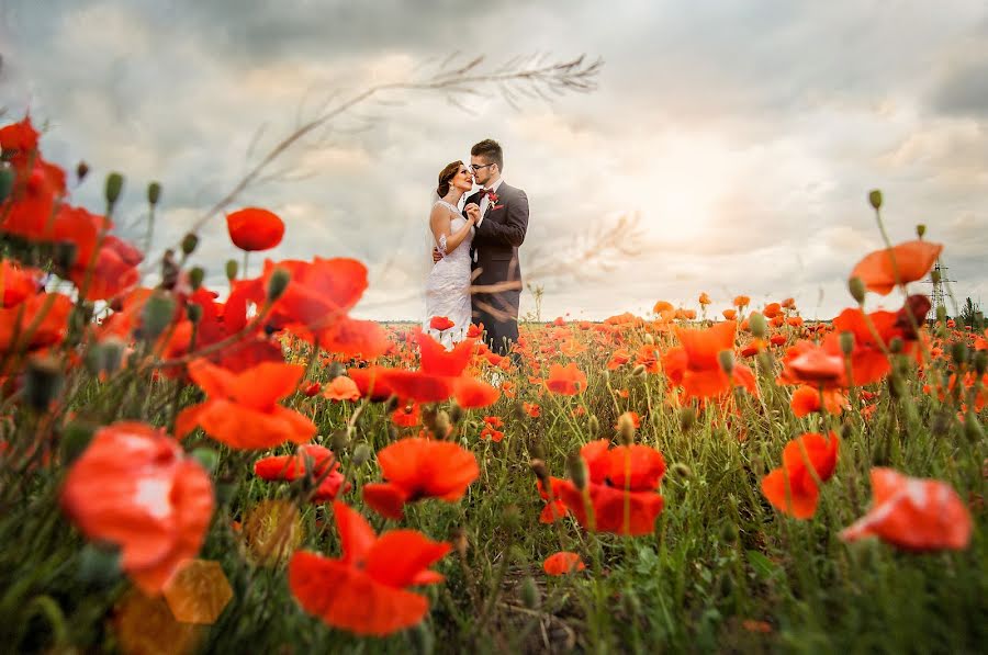 Fotografo di matrimoni Sergey Kasatkin (kasatkin). Foto del 5 ottobre 2015