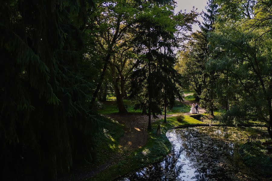 Huwelijksfotograaf Vasi Pilca (vasipilca). Foto van 25 oktober 2019