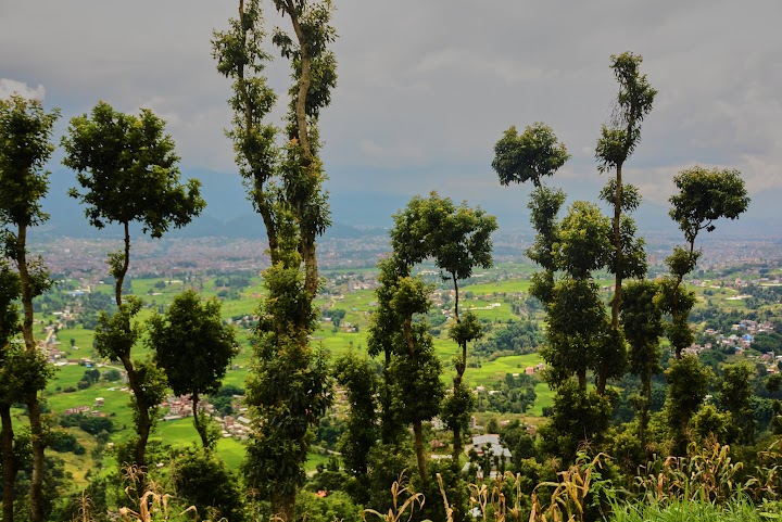 DIA 29 NAGARKOT -CHANGU - KHATMANDU - CUADERNO DEL VIAJE A INDIA Y NEPAL (5)