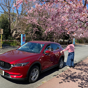 CX-5 KF2P