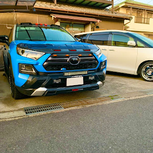 RAV4 MXAA54