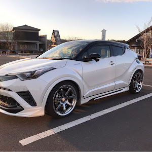 C-HR ZYX10