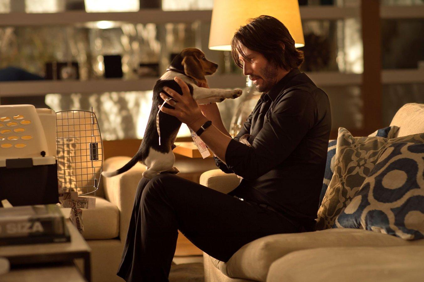 3. JOHN WICK 2