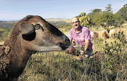 MAKING HISTORY: Richard Haigh drove around KwaZulu-Natal finding indigenous Zulu sheep to create a breeding herd on his farm, Enaleni