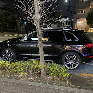 S Q5 8R型