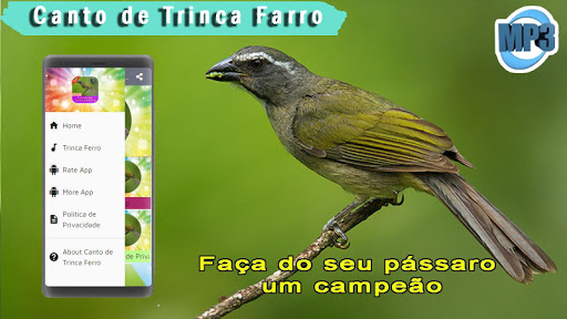 Canto De Trinco Ferro