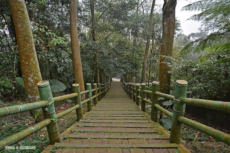 鳳凰谷鳥園好漢坡