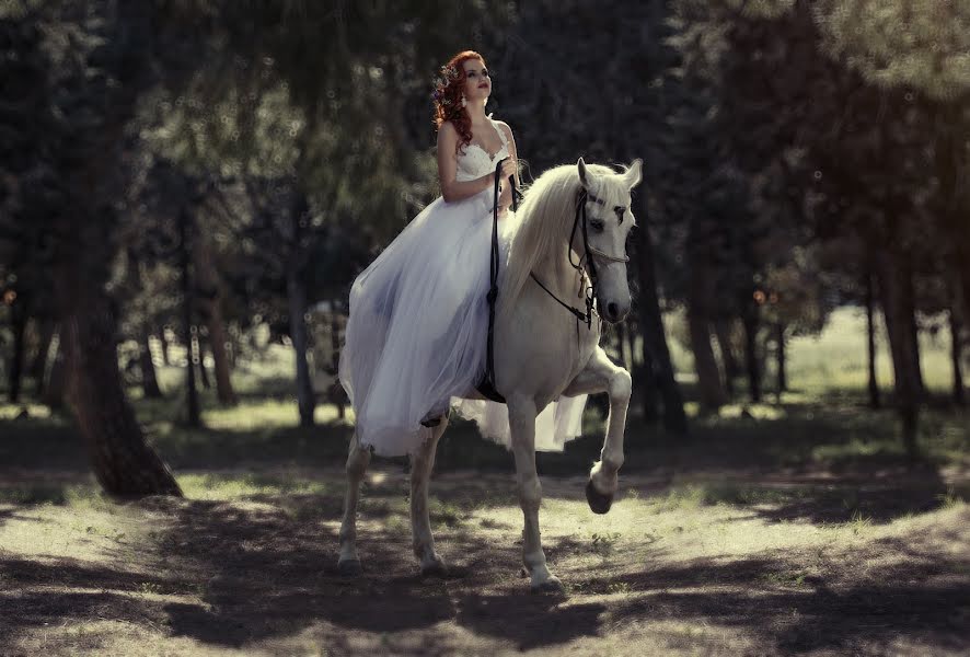 Fotografer pernikahan Alexander Zitser (weddingshot). Foto tanggal 28 April 2016