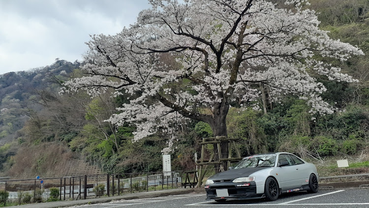 の投稿画像2枚目