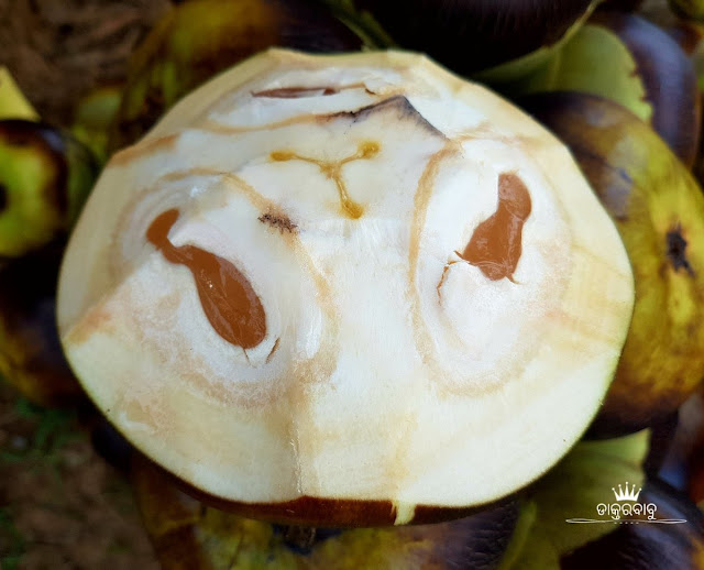 Ice Apple- The Traditional Summer Food in India