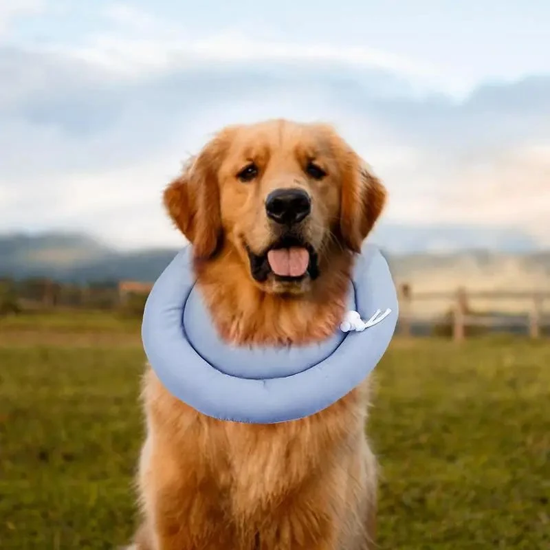 Schattige Elizabethan Collar voor Katten en Honden, Verstelbaar, Waterdicht, Wondgenezing, Herstel, Bescherming