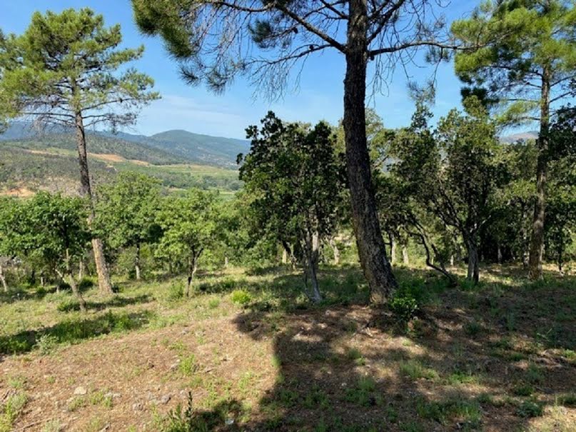 Vente terrain  2300 m² à Grimaud (83310), 1 300 000 €