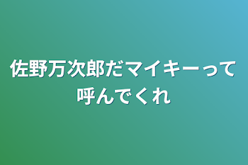 佐野万次郎だマイキーって呼んでくれ