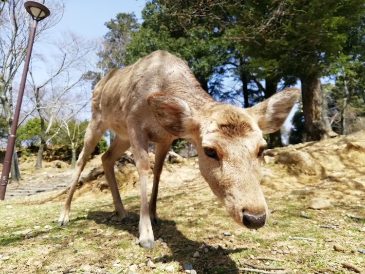 の投稿画像8枚目