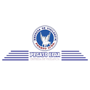 PEGASO LTDA COP  Icon