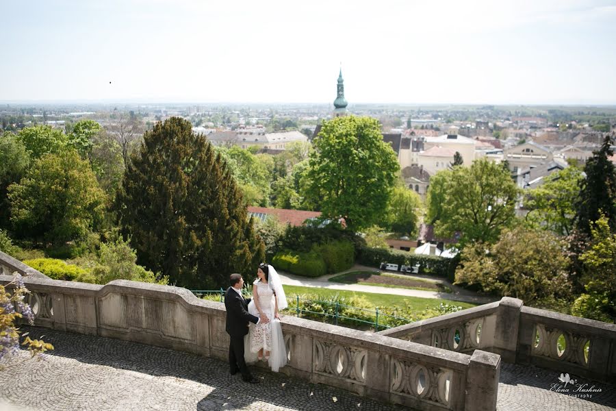 Wedding photographer Elena Kushnir (germina). Photo of 28 April 2017