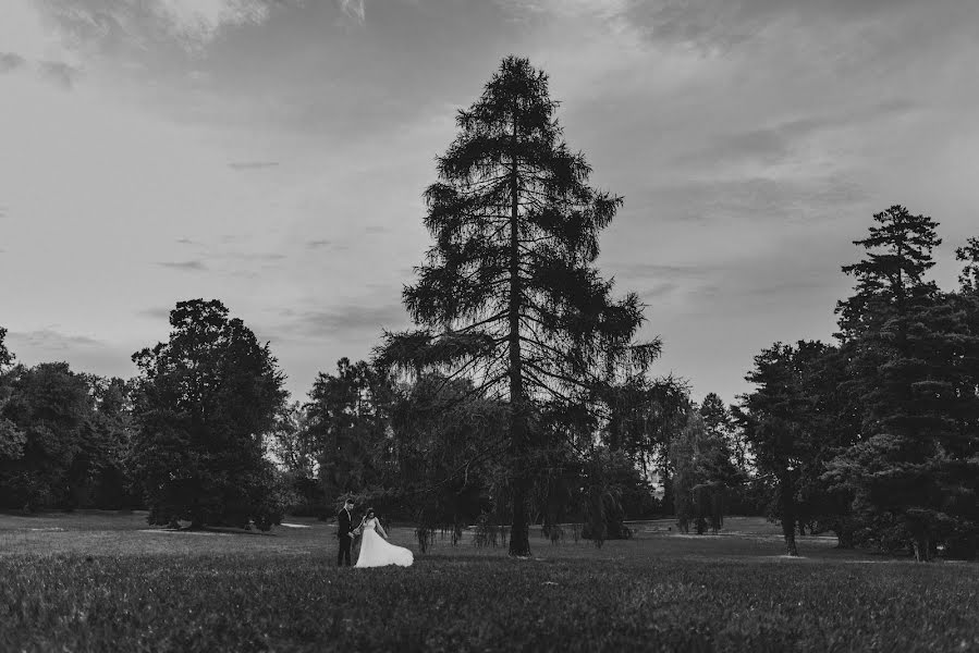 Wedding photographer Agata Stępniowska (agataste). Photo of 4 September 2020