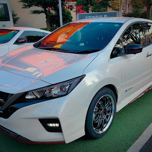 リーフ ZE1