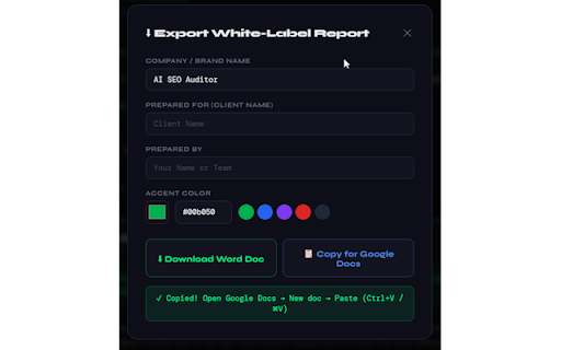 AI SEO Auditor screenshot 3