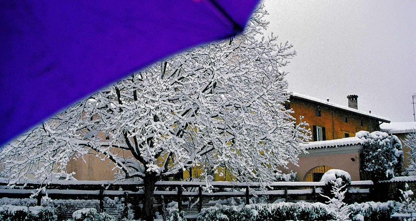 L'abito invernale del paesaggio di Cary