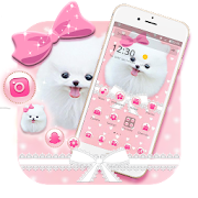 Pink Cute Puppy Dog Pet Bowknot Theme  Icon