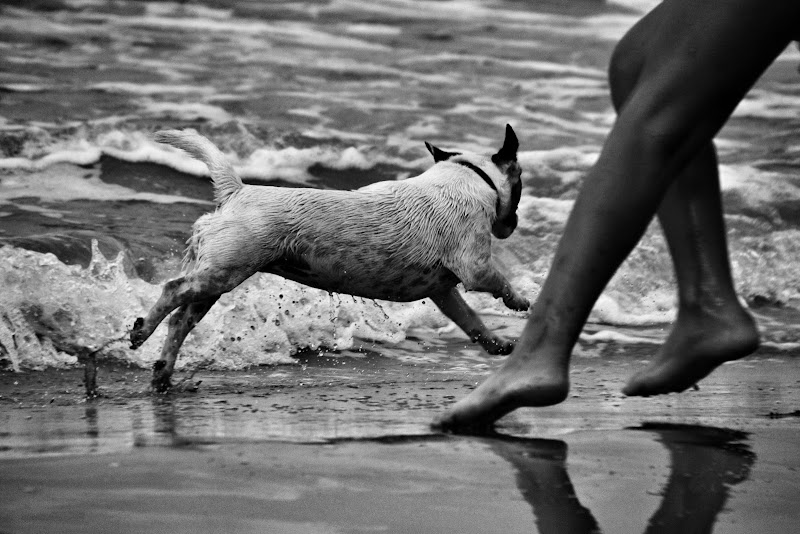 Natura... Uomo... E animali...  di Nony1975