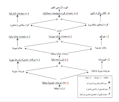 المستويات الذي يضم المستوى التنظيمي باقي اي مستتوى