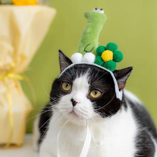 Pet Hat Decorative Lovely Cartoon Snake Chicken Shaped Cat Hat Pet Costume Puppy Headband Kitten Headwear Cat Dog Access