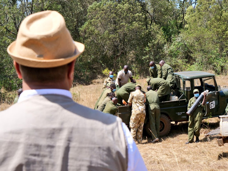 KWS offloading a Mountain Bongo from a truck at Mawingu Mountain Bongo Sanctuary on March 9.