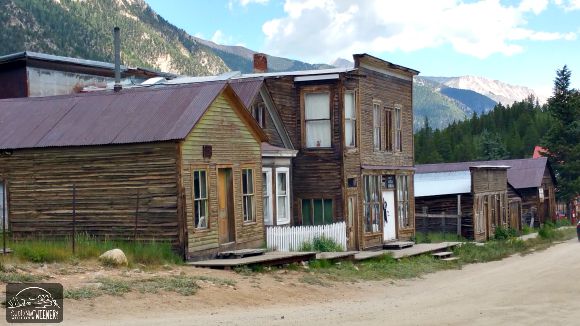 Colorado - St. Elmo Ghost Town Hummingbirds