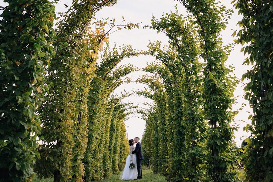 Wedding photographer Elena Kirichenko (kirelena). Photo of 9 December 2021