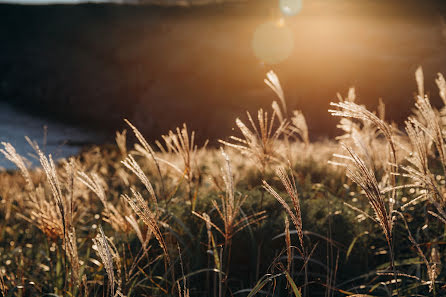 Svatební fotograf Artem Petrunin (artempetrunin). Fotografie z 27.března 2019