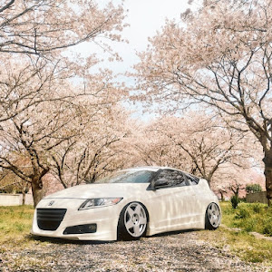 CR-Z ZF1