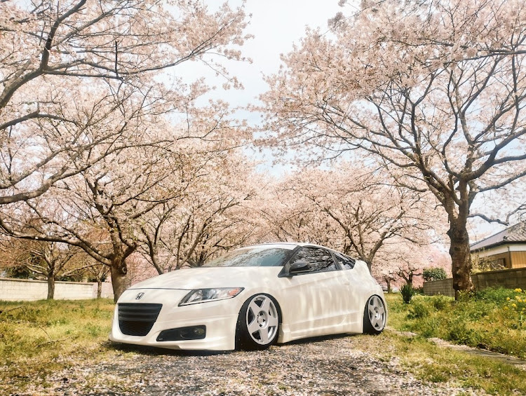 CR-Zのサクラと愛車・fifteen52・USDM・北米仕様・CR-Zに関するカスタム事例の投稿画像1枚目