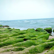 綠石槽漁夫海鮮餐廳