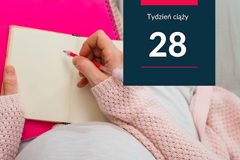 28. tydzień ciąży - kalendarz ciąży